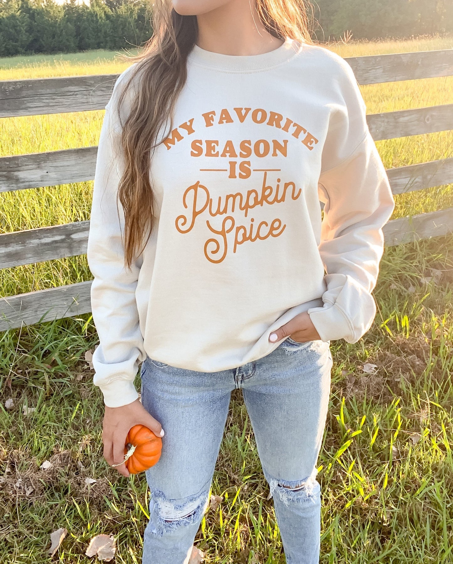 Pumpkin Spice Sweatshirt